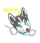 Lovely husky's daily life（個別スタンプ：39）