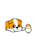 Life of Cool-Dog（個別スタンプ：23）