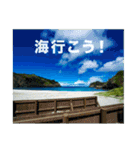 小笠原諸島 風景（個別スタンプ：22）