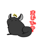 チンチラの小明神（個別スタンプ：8）