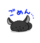 チンチラの小明神（個別スタンプ：16）