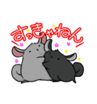 チンチラの小明神（個別スタンプ：22）