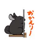 チンチラの小明神（個別スタンプ：24）
