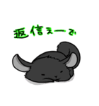 チンチラの小明神（個別スタンプ：28）