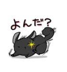チンチラの小明神（個別スタンプ：31）