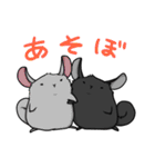 チンチラの小明神（個別スタンプ：34）