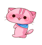 ぴんくねこ ゆーにゃんにゃん（個別スタンプ：19）