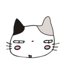 三毛猫のミケにゃん（個別スタンプ：17）