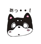 和み柴っこ画伯絵 豆柴っこ1（個別スタンプ：3）