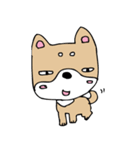 和み柴っこ画伯絵 豆柴っこ1（個別スタンプ：17）