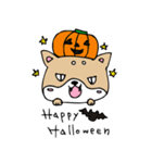 和み柴っこ画伯絵 豆柴っこ1（個別スタンプ：29）