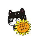 和み柴っこ画伯絵 豆柴っこ1（個別スタンプ：36）