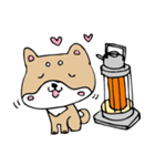 和み柴っこ画伯絵 豆柴っこ1（個別スタンプ：40）
