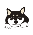 和んこ堂 黒柴っこ2（個別スタンプ：14）