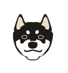 和んこ堂 黒柴っこ2（個別スタンプ：15）