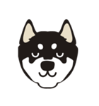 和んこ堂 黒柴っこ2（個別スタンプ：16）