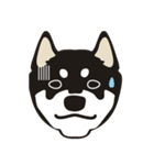 和んこ堂 黒柴っこ2（個別スタンプ：17）