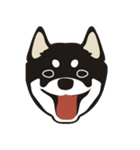 和んこ堂 黒柴っこ2（個別スタンプ：21）