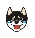 和んこ堂 黒柴っこ2（個別スタンプ：23）