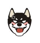 和んこ堂 黒柴っこ2（個別スタンプ：24）
