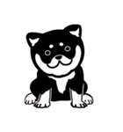 和んこ堂 黒柴っこ2（個別スタンプ：38）