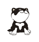 和んこ堂 黒柴っこ2（個別スタンプ：39）