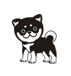 和んこ堂 黒柴っこ2（個別スタンプ：40）