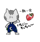 ウリニコの勘違い四字熟語（個別スタンプ：7）