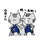ウリニコの勘違い四字熟語（個別スタンプ：13）