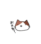 ねこの顔面スタンプ（個別スタンプ：2）
