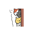 ねこの顔面スタンプ（個別スタンプ：7）