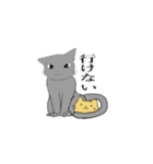 ねこの顔面スタンプ（個別スタンプ：17）