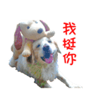 Sweet Old Dog SUPER（個別スタンプ：4）