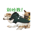 Sweet Old Dog SUPER（個別スタンプ：21）