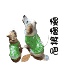 Sweet Old Dog SUPER（個別スタンプ：26）