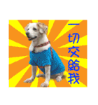 Sweet Old Dog SUPER（個別スタンプ：27）
