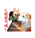 Sweet Old Dog SUPER（個別スタンプ：28）