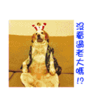 Sweet Old Dog SUPER（個別スタンプ：33）