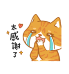 Orange Cat is lucky（個別スタンプ：19）