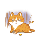 Orange Cat is lucky（個別スタンプ：25）