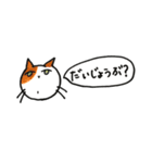 無難な猫さんスタンプ 12（個別スタンプ：37）