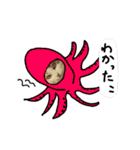 おふざけ三毛猫三毛吉。写真バージョン。（個別スタンプ：12）