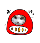 おふざけ三毛猫三毛吉。写真バージョン。（個別スタンプ：13）