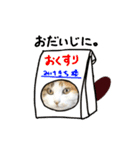 おふざけ三毛猫三毛吉。写真バージョン。（個別スタンプ：20）