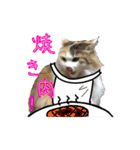 おふざけ三毛猫三毛吉。写真バージョン。（個別スタンプ：29）