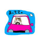 おふざけ三毛猫三毛吉。写真バージョン。（個別スタンプ：34）
