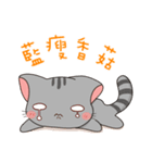かわいい灰色の子猫-niki-2（個別スタンプ：10）