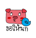 Shying Piggy（個別スタンプ：1）