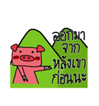 Shying Piggy（個別スタンプ：37）