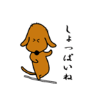 ダックス犬・タロ3（個別スタンプ：6）